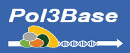 deepBase